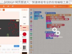 probrun 网页版进入，快速体验专业的在线编程工具