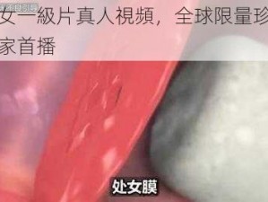 破處女一級片真人視頻，全球限量珍藏版，獨家首播