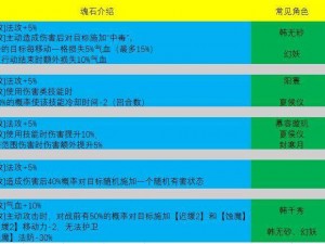 天地劫林月如魂石饰品搭配攻略：深度解析林月如魂石饰品选择与搭配技巧