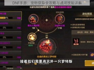 DNF手游：宠物获取全攻略与通用技能详解