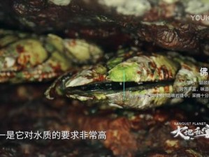 大地资源 7 页：丰富的商品介绍等你来探索