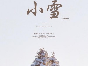 给小雪新婚带来的惊喜：全新 np 体验，全村人的选择