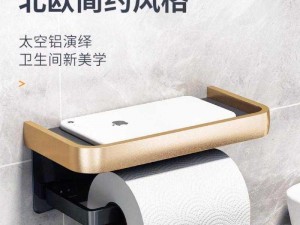 新款女沟厕撒尿 AsianBeaChToilet 时尚厕纸架，方便实用不占空间