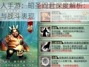 不良人手游：昭圣阎君深度解析：技能属性与战斗表现