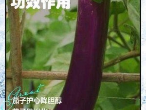 优质 18 茄子屁股无套直，口感鲜美，营养丰富