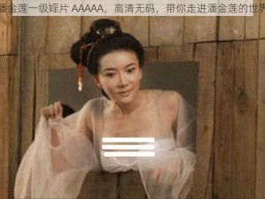 潘金莲一级婬片 AAAAA，高清无码，带你走进潘金莲的世界