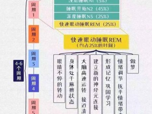 生活实相探索：深入详解大学期间我们的睡眠阶段及其重要性