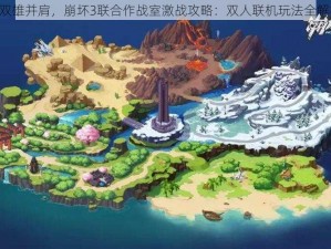 《双雄并肩，崩坏3联合作战室激战攻略：双人联机玩法全解析》