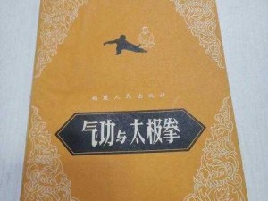 太极侠客新篇章：揭秘太极拳全新玩法攻略——暗金橙装与武学选择宝典