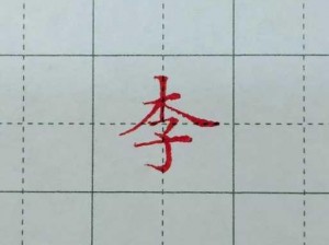 李字闯关探秘：离谱汉字的15个字通关全攻略