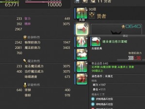 揭秘FF14游戏术语：BiS究竟何意？