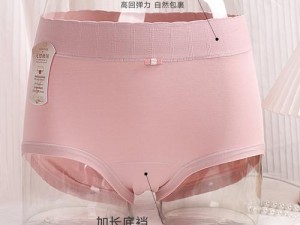 女人私密又大又肥的高品质时尚时尚女士内裤，舒适透气，让你自信展现美丽