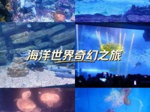 探秘深蓝海底之旅：海底奇妙冒险的奇幻世界与冒险乐趣解析