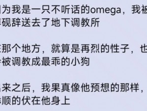 被调教成禁脔的少年 H 小说：肉香四溢的小说，满足你的幻想