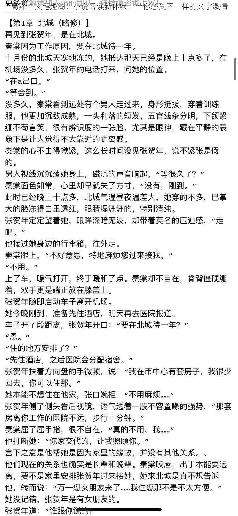 高辣 h 文笔趣阁：小说阅读新体验，带你感受不一样的文字激情