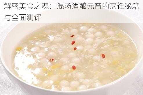 解密美食之魂：混汤酒酿元宵的烹饪秘籍与全面测评