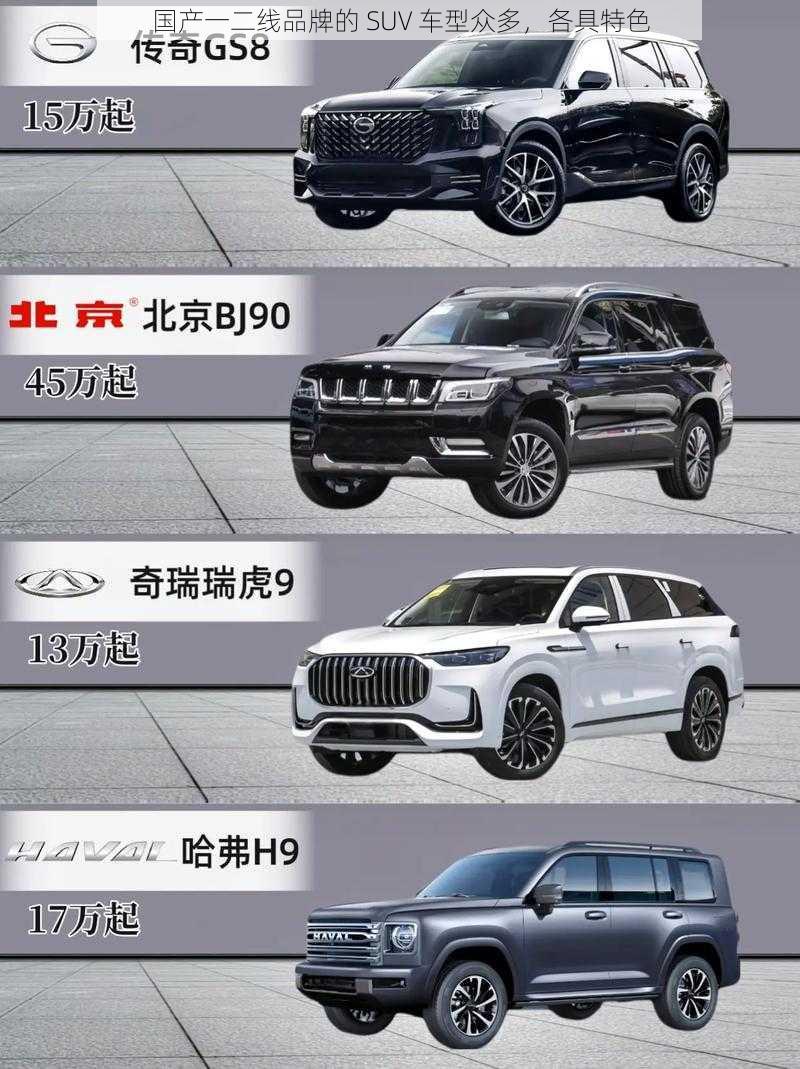 国产一二线品牌的 SUV 车型众多，各具特色