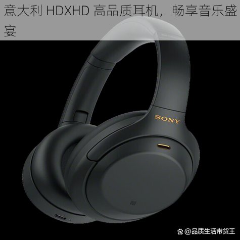 意大利 HDXHD 高品质耳机，畅享音乐盛宴