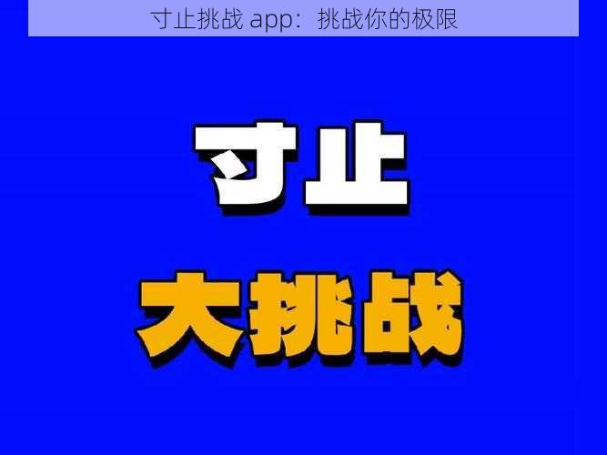 寸止挑战 app：挑战你的极限