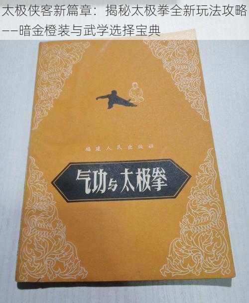 太极侠客新篇章：揭秘太极拳全新玩法攻略——暗金橙装与武学选择宝典