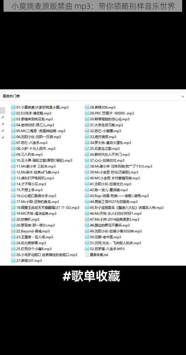 小莫烧麦原版禁曲 mp3：带你领略别样音乐世界