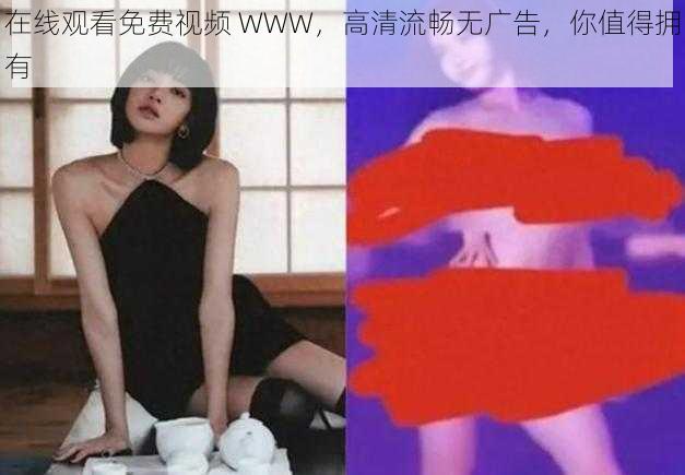 在线观看免费视频 WWW，高清流畅无广告，你值得拥有