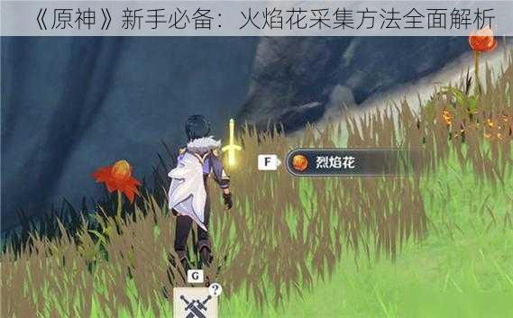 《原神》新手必备：火焰花采集方法全面解析