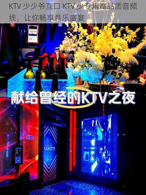 KTV 少少爷互口 KTV 少专用高品质音频线，让你畅享音乐盛宴