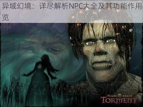 异域幻境：详尽解析NPC大全及其功能作用览