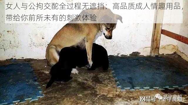 女人与公拘交酡全过程无遮挡：高品质成人情趣用品，带给你前所未有的刺激体验