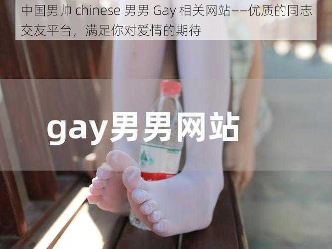 中国男帅 chinese 男男 Gay 相关网站——优质的同志交友平台，满足你对爱情的期待