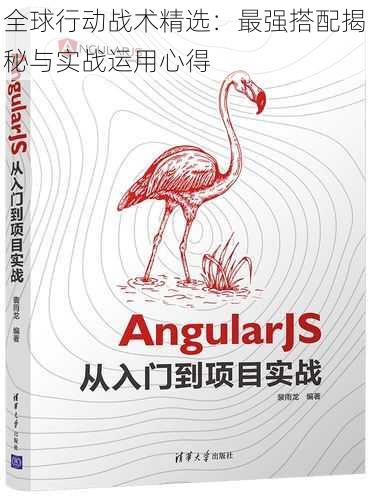 全球行动战术精选：最强搭配揭秘与实战运用心得