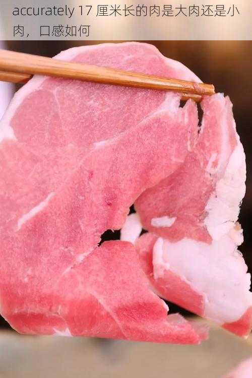 accurately 17 厘米长的肉是大肉还是小肉，口感如何