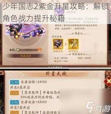 少年国志2紫金升星攻略：解锁角色战力提升秘籍