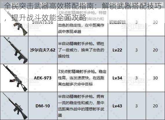 全民突击武器高效搭配指南：解锁武器搭配技巧，提升战斗效能全面攻略