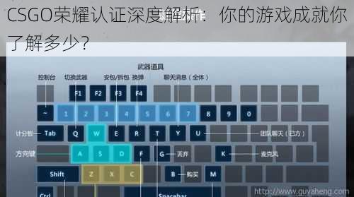 CSGO荣耀认证深度解析：你的游戏成就你了解多少？