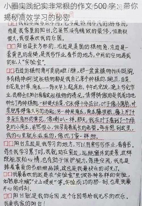 小圈实践纪实非常狠的作文 500 字：带你揭秘高效学习的秘密