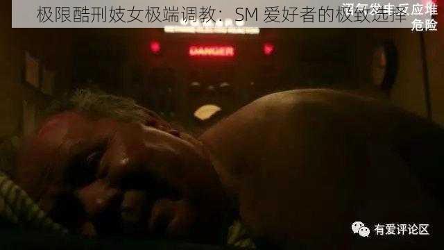 极限酷刑妓女极端调教：SM 爱好者的极致选择