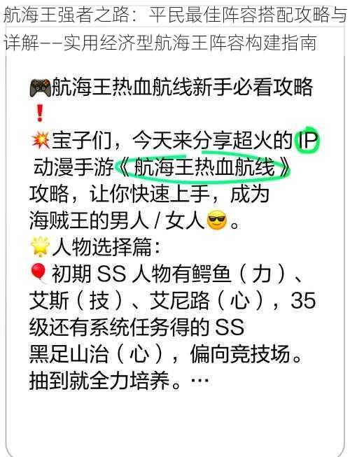 航海王强者之路：平民最佳阵容搭配攻略与详解——实用经济型航海王阵容构建指南