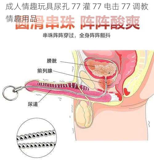 成人情趣玩具尿孔 77 灌 77 电击 77 调教情趣用品