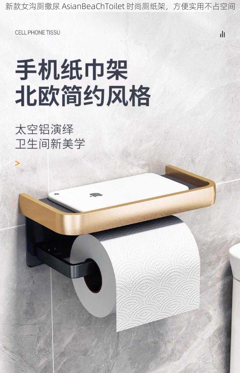 新款女沟厕撒尿 AsianBeaChToilet 时尚厕纸架，方便实用不占空间