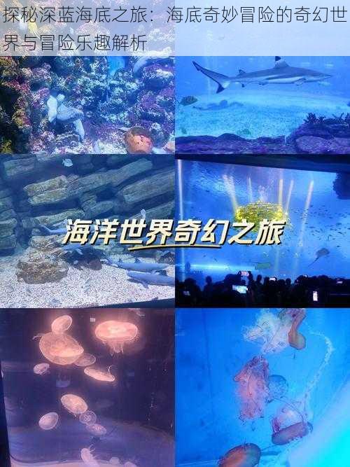 探秘深蓝海底之旅：海底奇妙冒险的奇幻世界与冒险乐趣解析