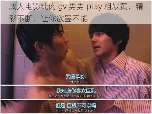 成人电影纯肉 gv 男男 play 粗暴黄，精彩不断，让你欲罢不能