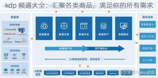 kdp 频道大全：汇聚各类商品，满足你的所有需求