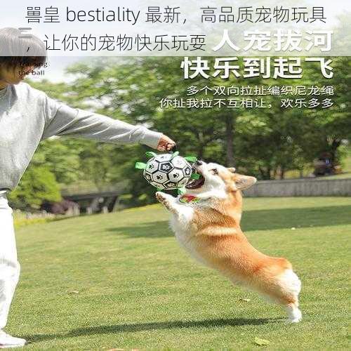 嘼皇 bestiality 最新，高品质宠物玩具，让你的宠物快乐玩耍