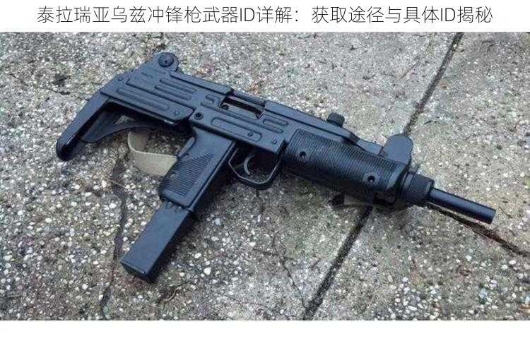 泰拉瑞亚乌兹冲锋枪武器ID详解：获取途径与具体ID揭秘