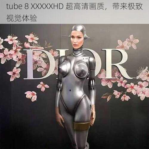 tube 8 XXXXXHD 超高清画质，带来极致视觉体验