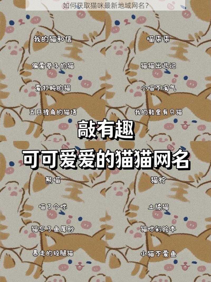 如何获取猫咪最新地域网名？