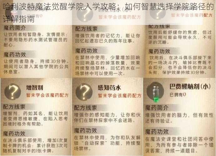 哈利波特魔法觉醒学院入学攻略：如何智慧选择学院路径的详解指南