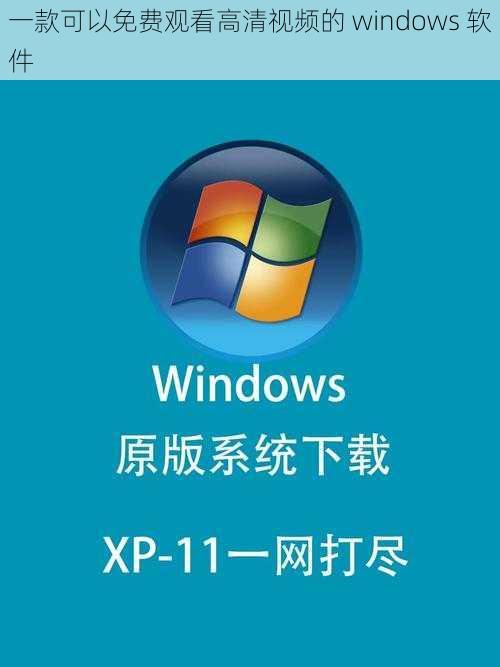 一款可以免费观看高清视频的 windows 软件